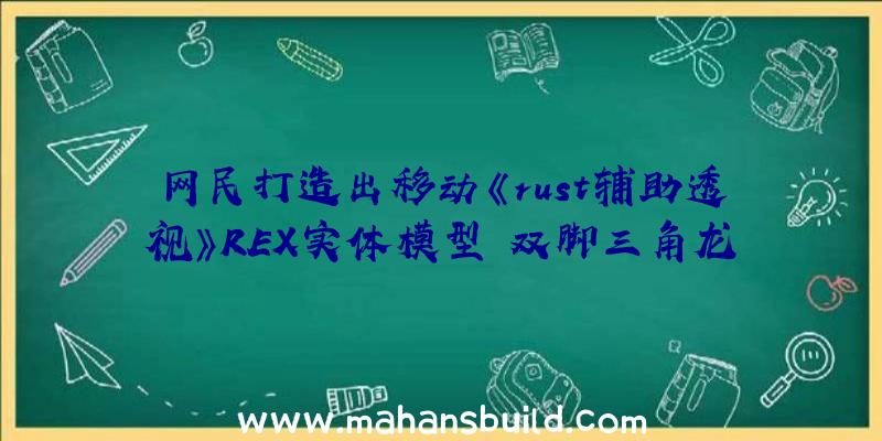 网民打造出移动《rust辅助透视》REX实体模型